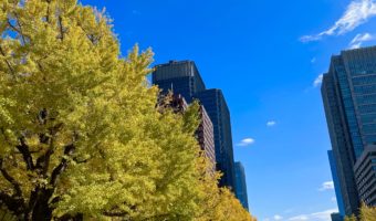 青空と銀杏並木とランニング