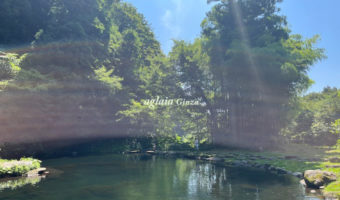 より美しく輝けるように